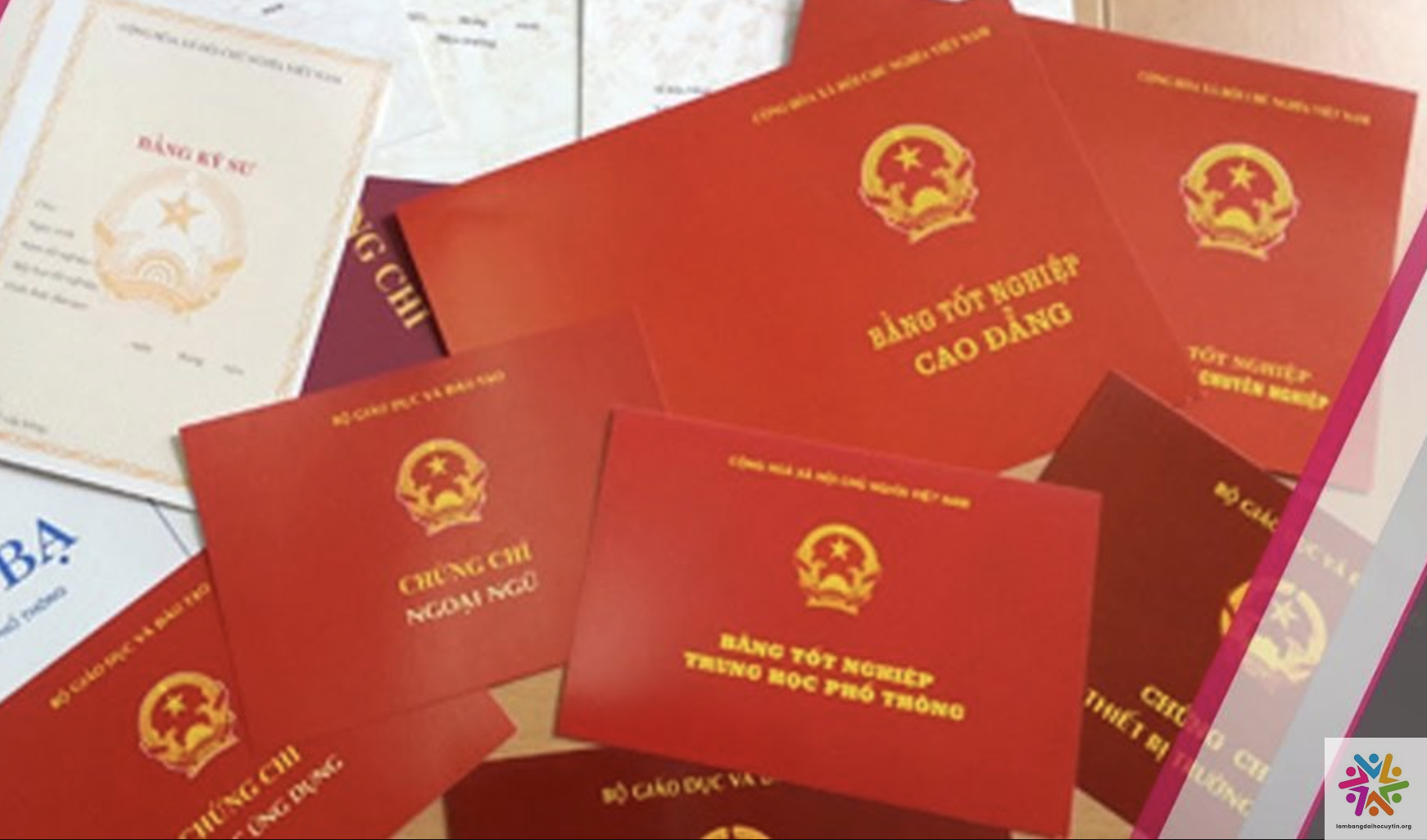 Vai trò và giá trị cốt lõi của bằng đại học trong thị trường lao động quốc tế