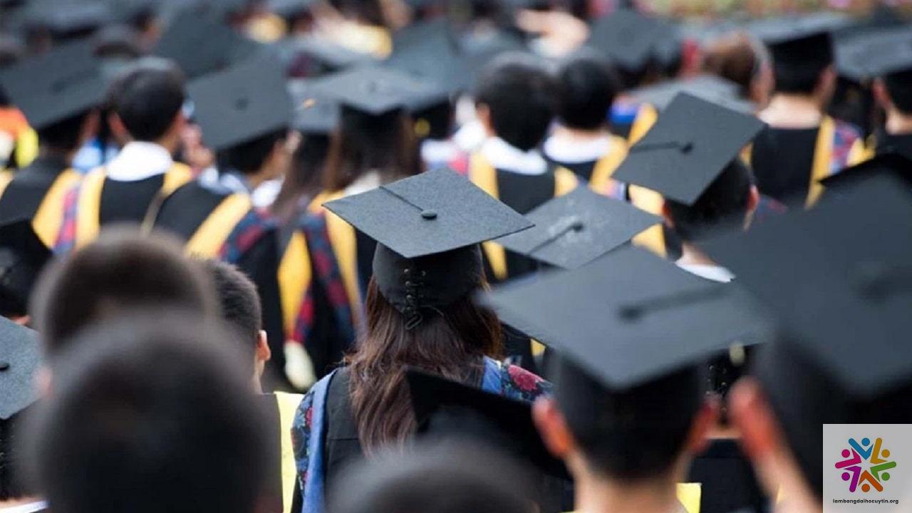 Khoảng cách kỹ năng và kinh nghiệm: Rào cản lớn cho sinh viên ra trường