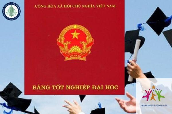 ai có thẩm quyền ký bằng đại học - Hình 2