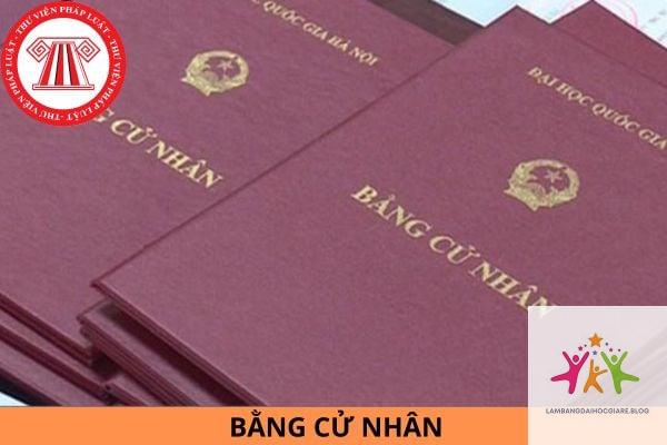 bằng cử nhân là gì - Hình 4