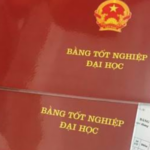 bằng đại học bị rách phải làm sao