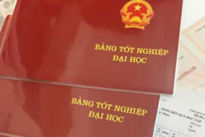 bằng đại học bị rách phải làm sao