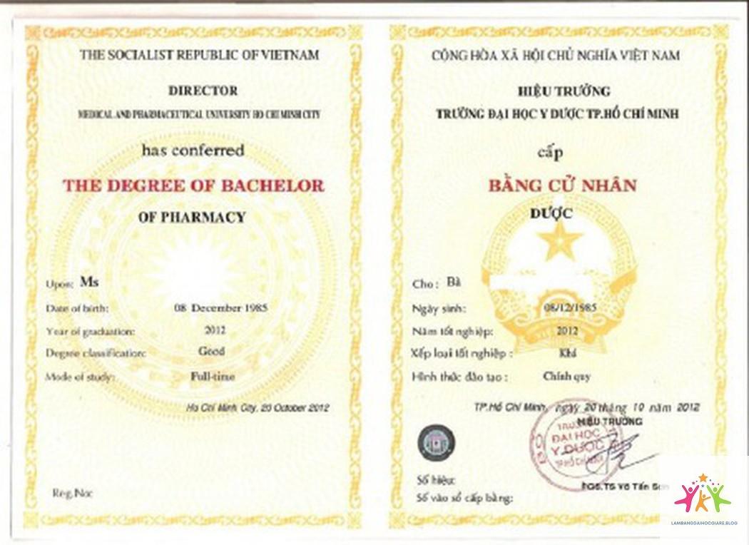 bằng đại học có ảnh hưởng chức vụ không - Hình 5