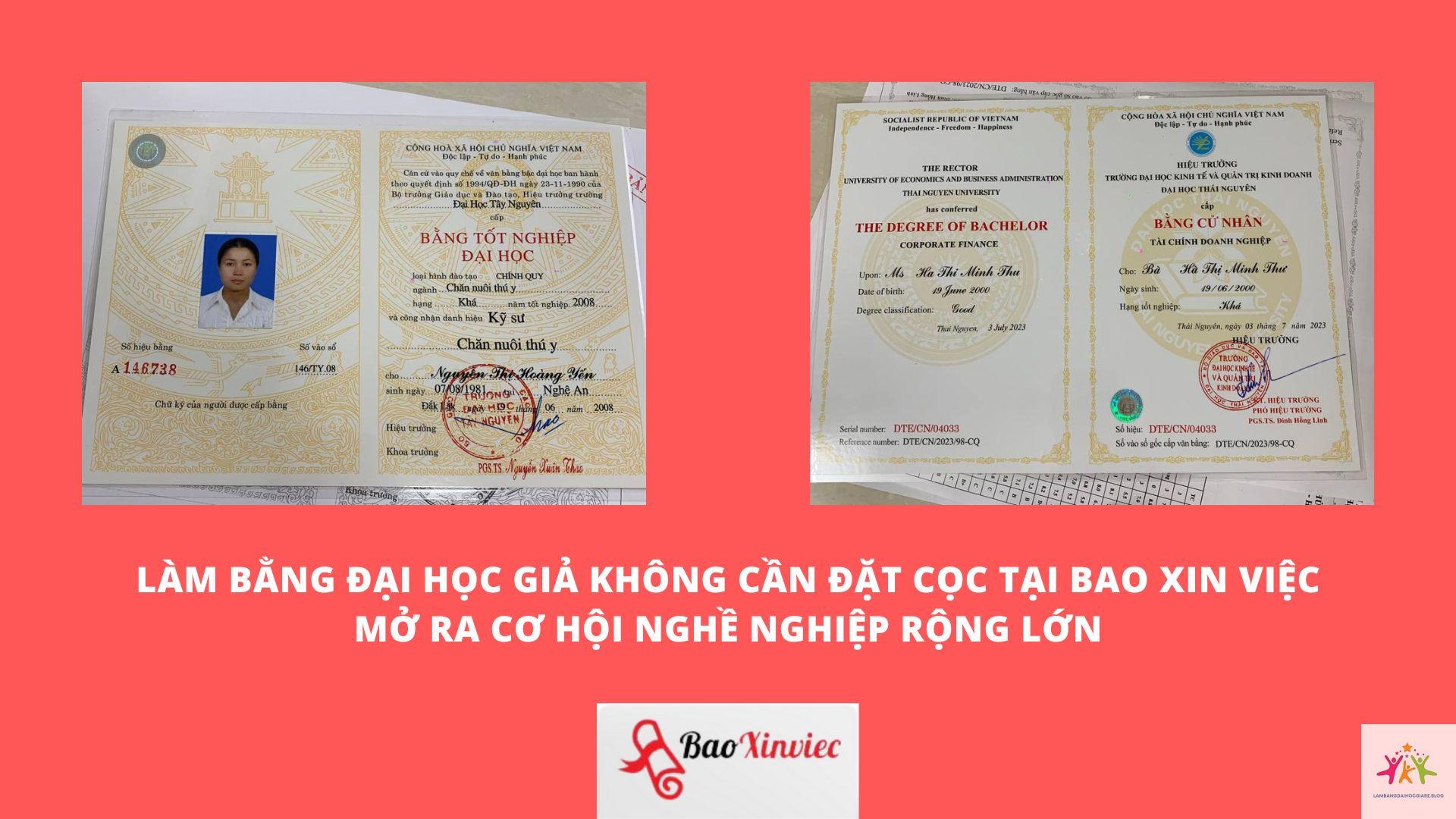 bằng đại học có ảnh hưởng hồ sơ xin việc không - Hình 4