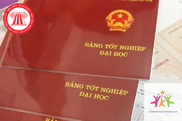 bằng đại học có ảnh hưởng hồ sơ xin việc không - Hình 1