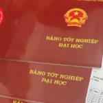 bằng đại học có ảnh hưởng lương không