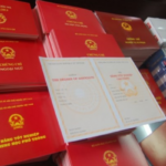 bằng đại học có bị công ty giữ không