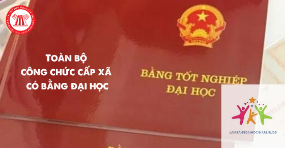 bằng đại học có cần cho công chức không - Hình 4