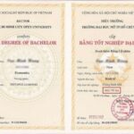 bằng đại học có cần cho viên chức không
