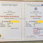 bằng đại học có cần ép plastic không