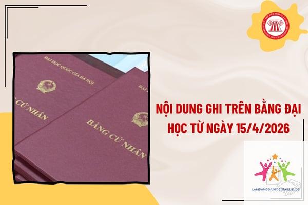 bằng đại học có cần khi bổ nhiệm chức vụ không - Hình 2