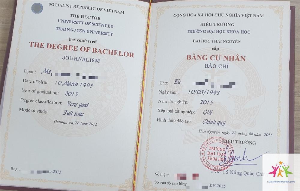 bằng đại học có cần khi bổ nhiệm chức vụ không - Hình 3