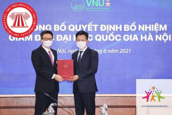 bằng đại học có cần khi bổ nhiệm chức vụ không - Hình 4