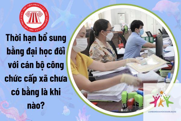 bằng đại học có cần khi bổ nhiệm chức vụ không - Hình 5
