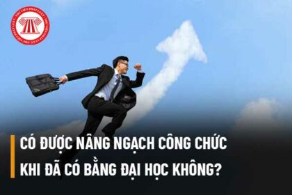 bằng đại học có cần khi thi nâng ngạch không