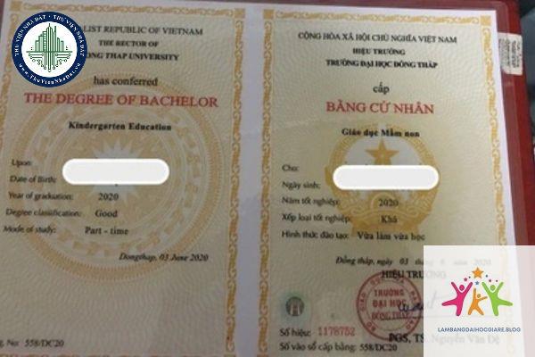 bằng đại học có cần khi thi tuyển công chức không - Hình 3