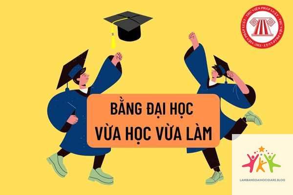 bằng đại học có cần khi thi tuyển công chức không - Hình 4