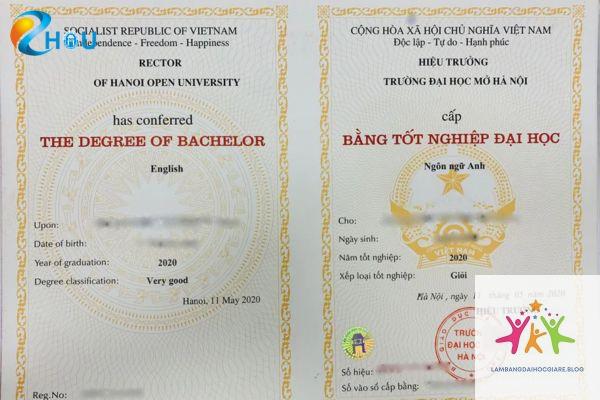 bằng đại học có cần khi thi tuyển công chức không - Hình 5