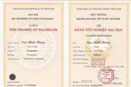 bằng đại học có cần khi thi viên chức không
