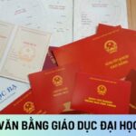 bằng đại học có cần khi ứng tuyển nhà nước không