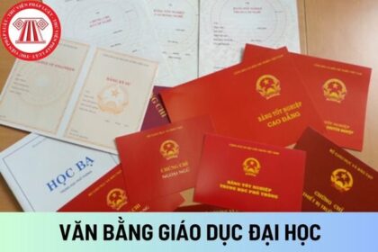 bằng đại học có cần khi ứng tuyển nhà nước không