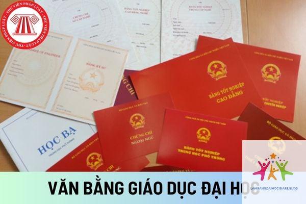 bằng đại học có cần khi ứng tuyển nhà nước không - Hình 1