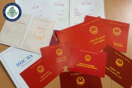 bằng đại học có cần khi xét lương không