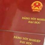 bằng đại học có cần lưu bản mềm không