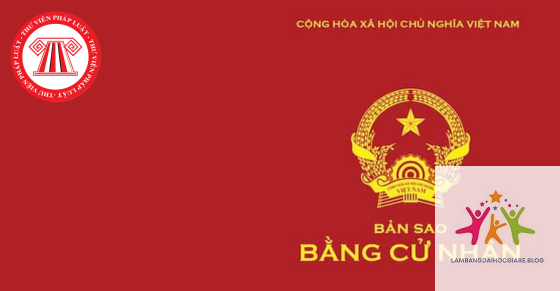 bằng đại học có cần lưu bản mềm không - Hình 3
