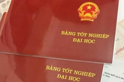 bằng đại học có cần lưu bản mềm không