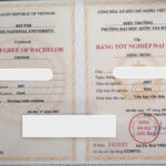 bằng đại học có cần nộp bản gốc không