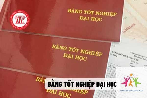 bằng đại học có cần nộp bản gốc không - Hình 4
