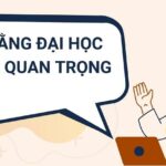 bằng đại học có còn quan trọng không