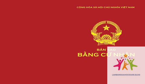 bằng đại học có giá trị pháp luật thế nào - Hình 3