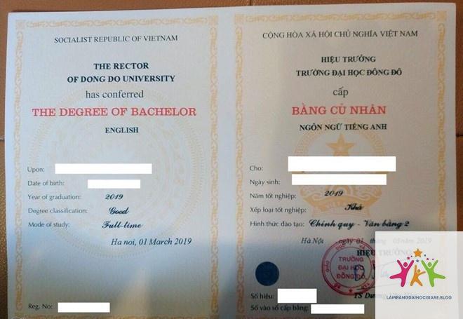 bằng đại học có giá trị suốt đời không - Hình 1
