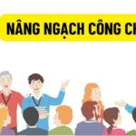 bằng đại học có giúp chuyển ngạch không