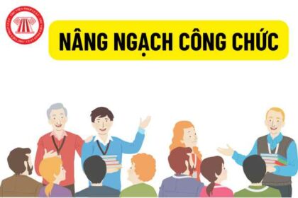 bằng đại học có giúp chuyển ngạch không