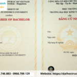 bằng đại học có giúp làm freelancer không