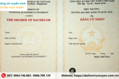 bằng đại học có giúp làm freelancer không
