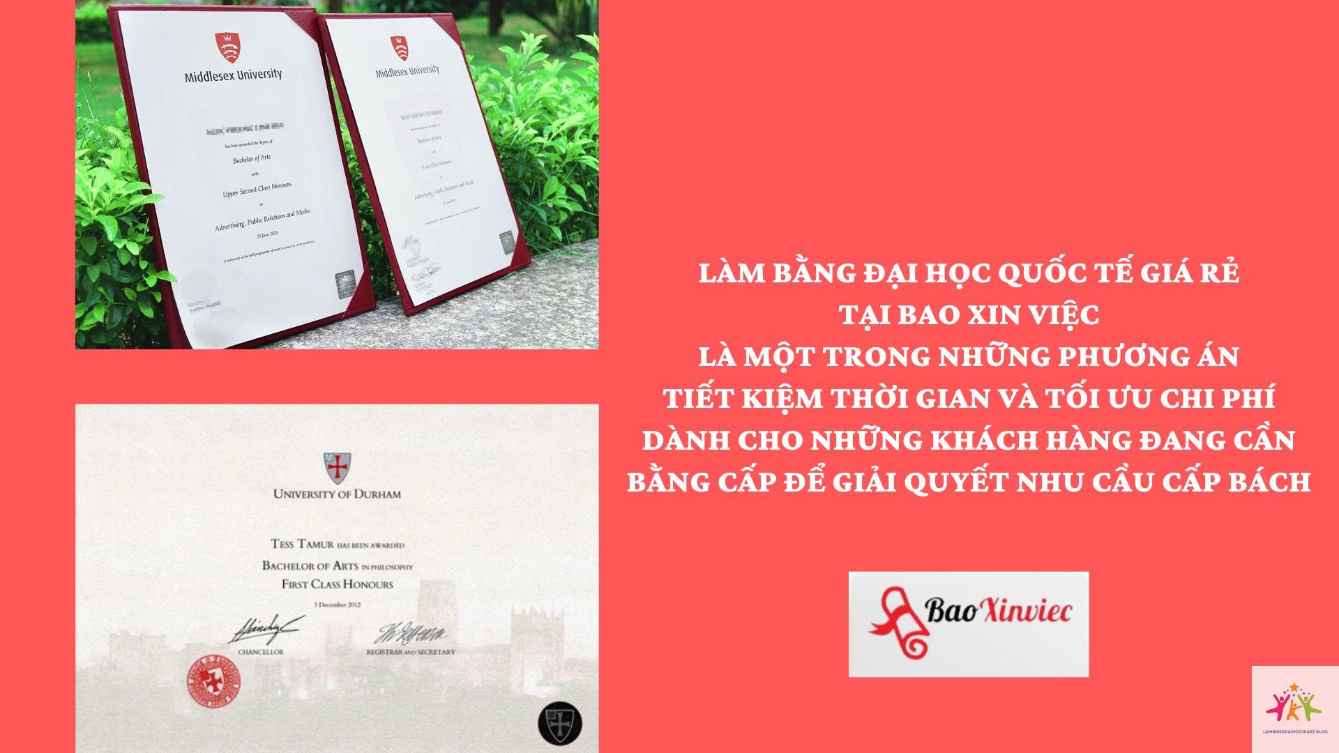 bằng đại học có giúp làm việc quốc tế không - Hình 3