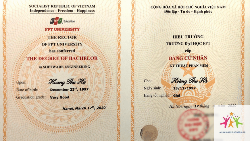 bằng đại học có giúp nghiên cứu không - Hình 3