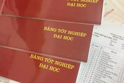 bằng đại học có giúp nghiên cứu không