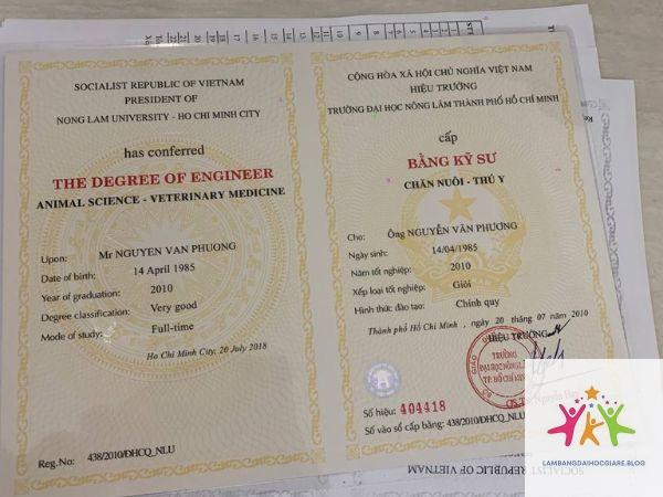 bằng đại học có giúp thăng tiến không - Hình 5