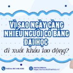 bằng đại học có giúp xuất khẩu lao động không