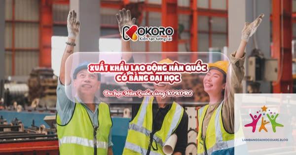bằng đại học có giúp xuất khẩu lao động không - Hình 5