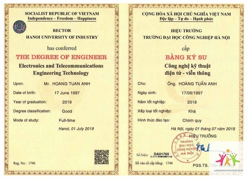 bằng đại học có quan trọng khi làm tập đoàn không - Hình 3