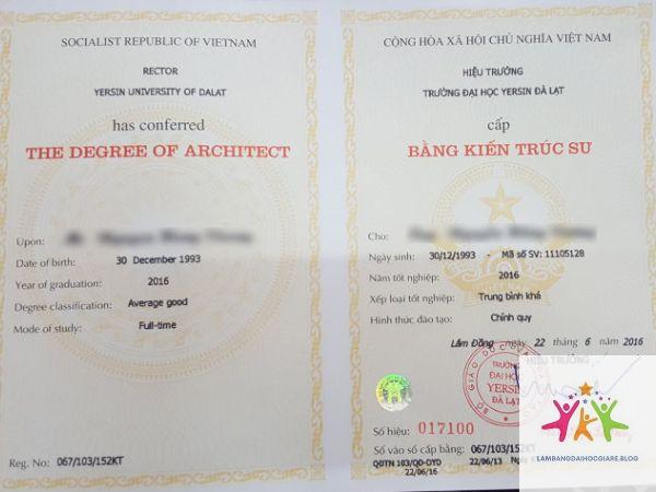 bằng đại học có quan trọng khi làm tư nhân không - Hình 4