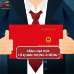 bằng đại học có quan trọng không