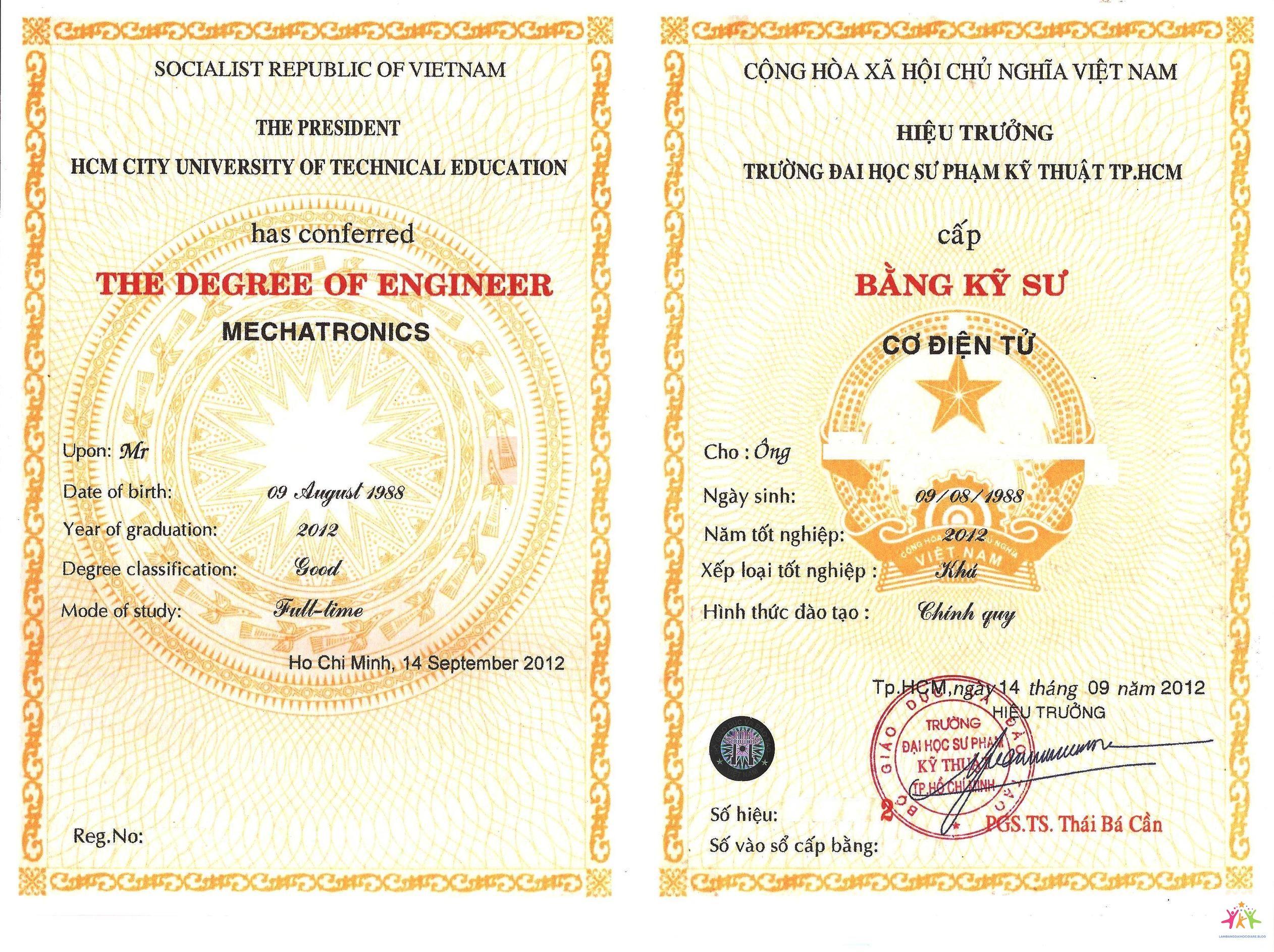 bằng đại học có thể thay thế kinh nghiệm không - Hình 2