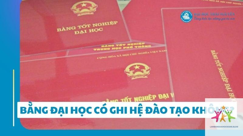 bằng đại học có thể thay thế kinh nghiệm không - Hình 3